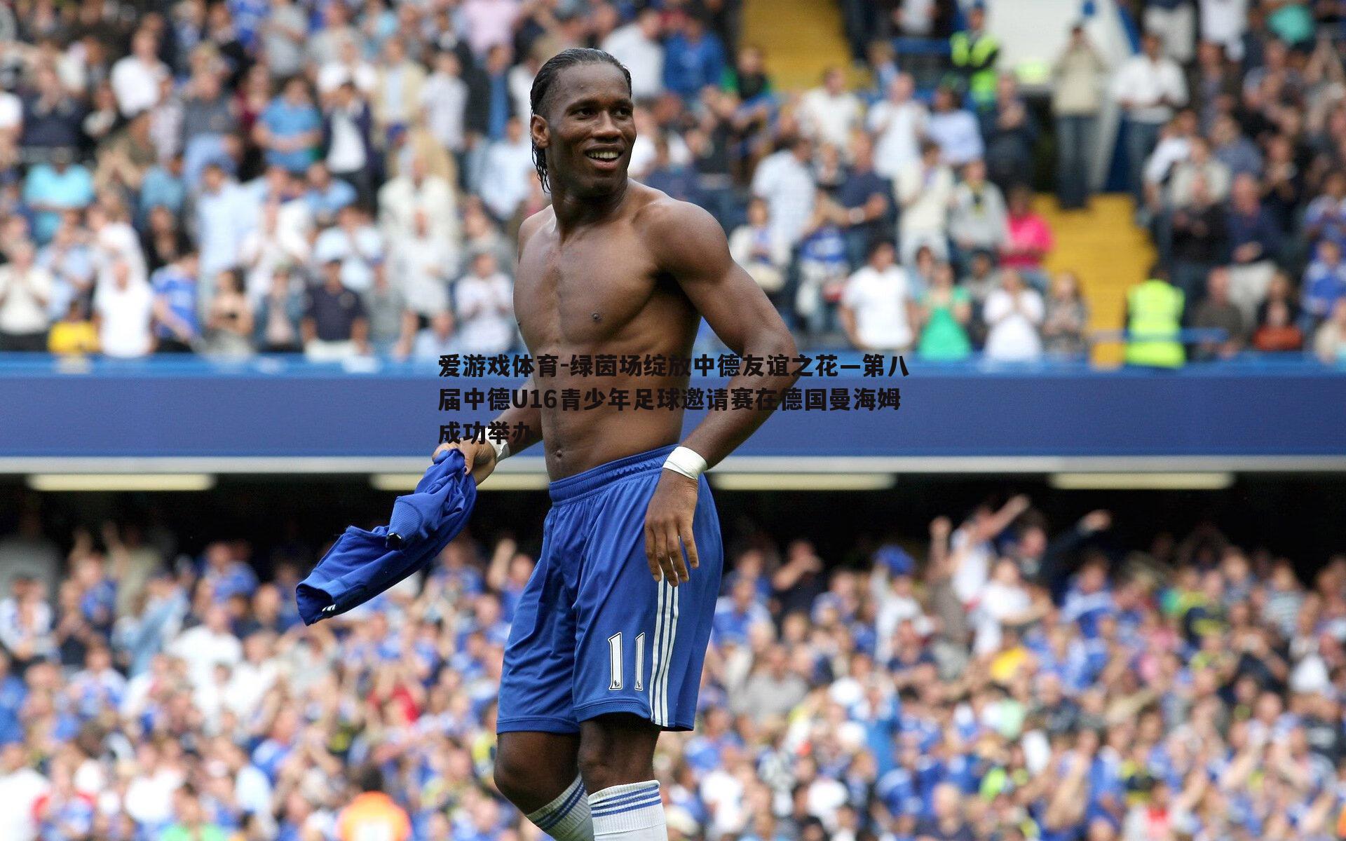 绿茵场绽放中德友谊之花—第八届中德U16青少年足球邀请赛在德国曼海姆成功举办